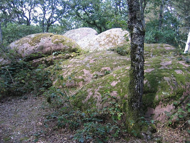Rochers à cupules