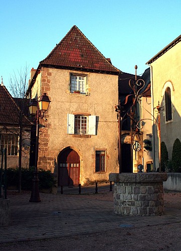 Visite guidée "Regards sur H/histoire(s)"