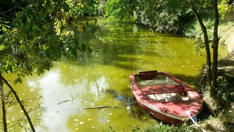 GÎTES LA DOUCE VIE