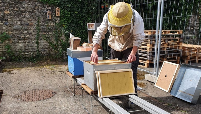 Le Rucher des Yolettes