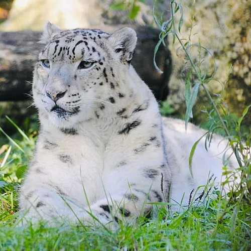 zoo du bassin d'arcachon 4