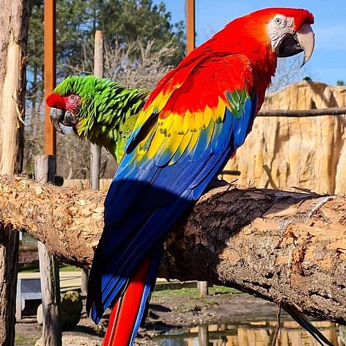 zoo du bassin d'arcachon 7