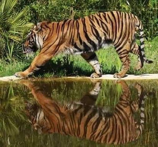 zoo du bassin d'arcachon 1