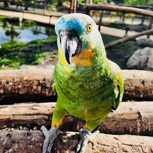 zoo du bassin d'arcachon 6