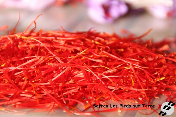 IMG_2591_GF stigmates de safran