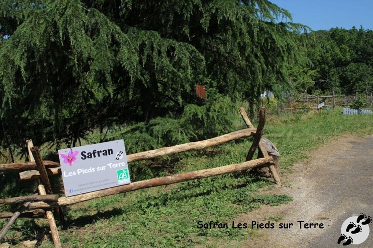 IMG_1124_GF entrée safranière