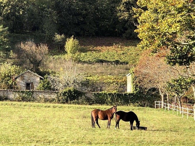 L'Orangerie