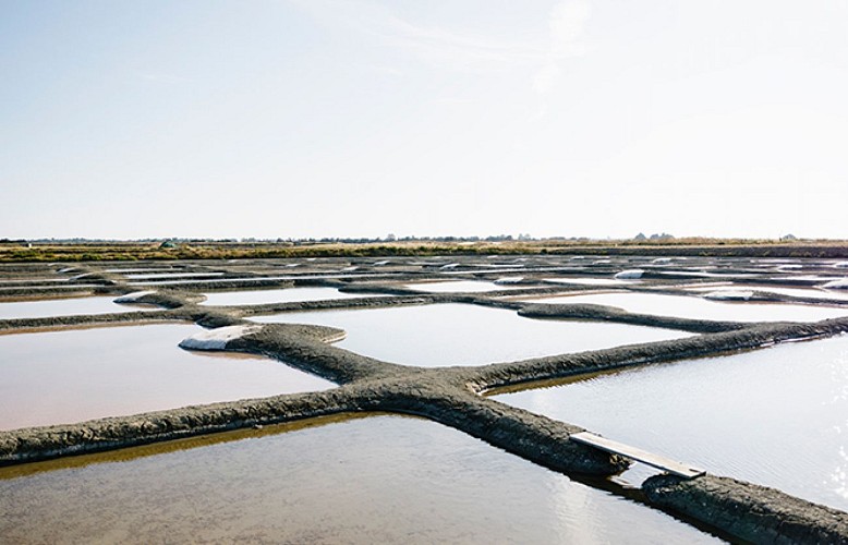CHASSE AUX TRÉSORS "ÎLE DE NOIRMOUTIER AVENTURES" - LES MARAIS SALANTS AVEC LOUISE