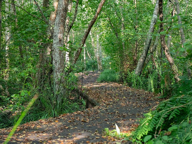 Sentier de la Berle_©MAT_-03-2