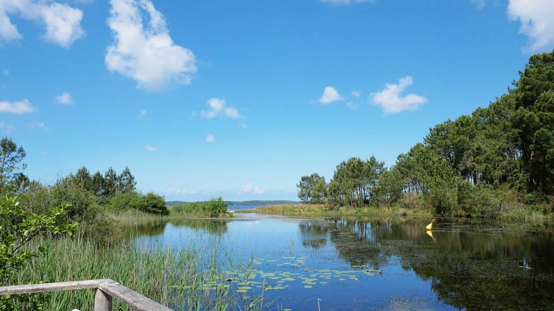 Sentier de la Berle © Médoc Atlantique Tourisme (2) copie