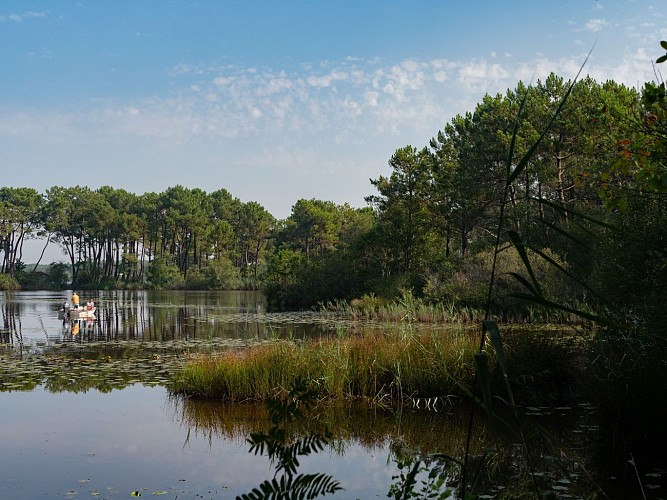 Sentier de la Berle © medoc-atlantique-tourisme_13-2