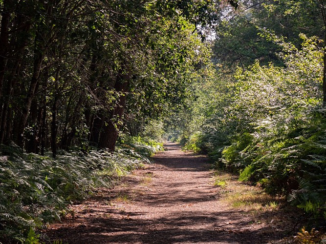 Sentier de la Berle