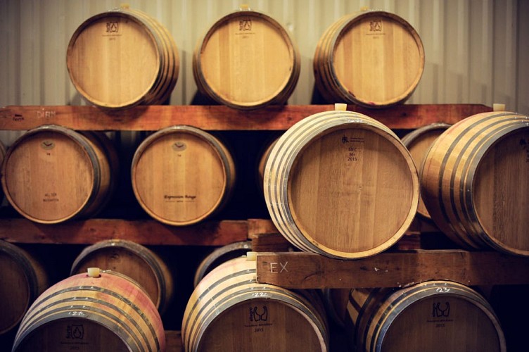 Barriques-002-1024x682