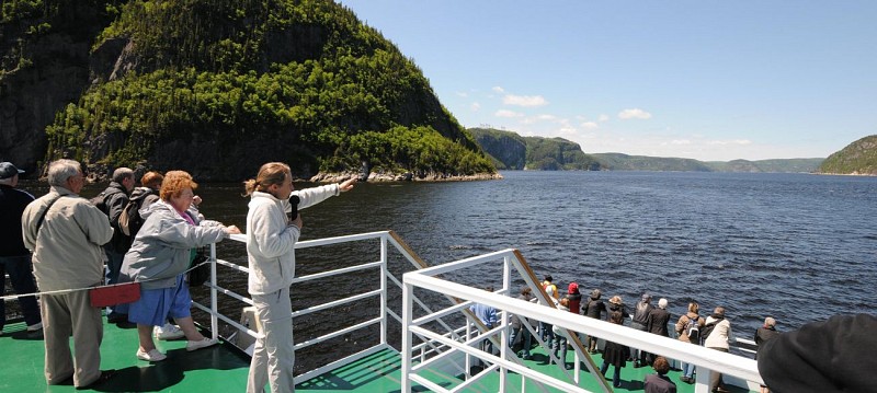 Croisière d'observation des baleines - Zodiac ou bateau - Au départ de Québec