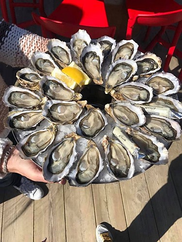 55752565_1047480088771112_15392286615535616_n