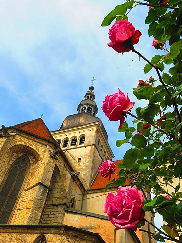 Basilique Notre-Dame