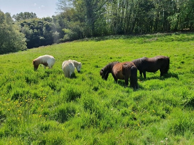 Les écuries de Laubanie 3