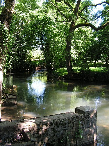 Bords de Sèvre Saint-Maixent-l'Ecole (17)