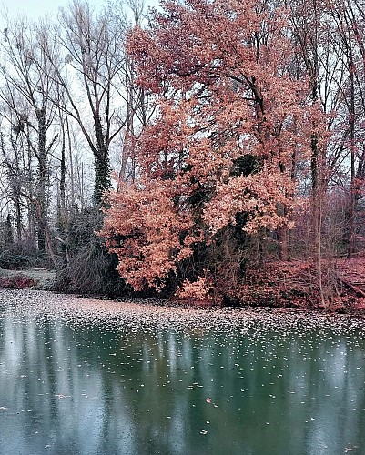 320475329_476630341259669_2747005465628766219_n