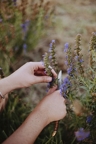 DEG_Distillerie de l'Ort_distillerie©Emi Makarof (4)