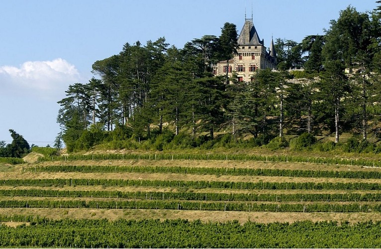 4) Château domine les terrasses de vignes