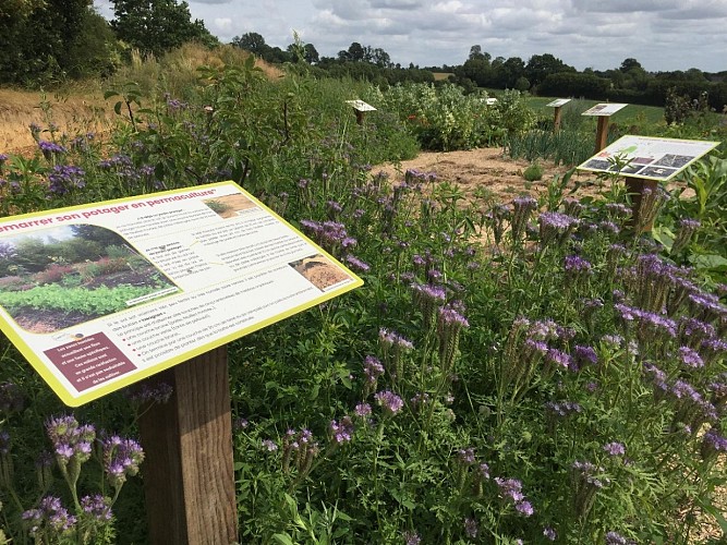 Exposition permaculture au potager
