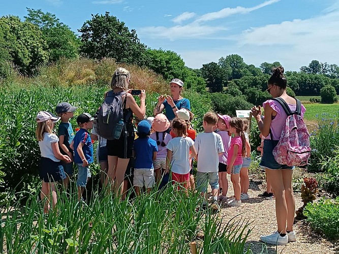 Visite d'une classe au potager