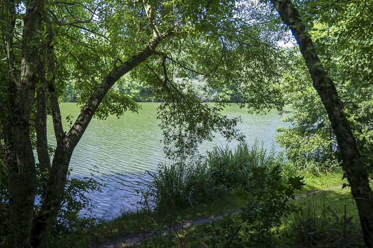 Tentes équipées au camping de Coulvée