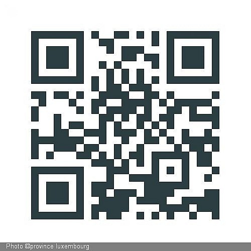 Qrcode ozo jpg.jpg