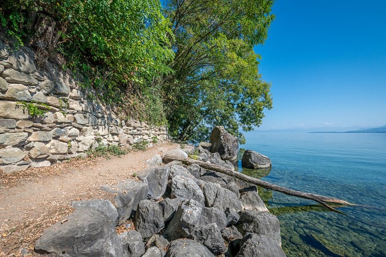 Domaine de Rovorée - La Châtaignière