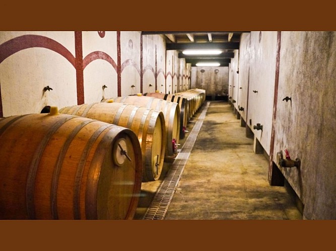 Château Terre Blanque