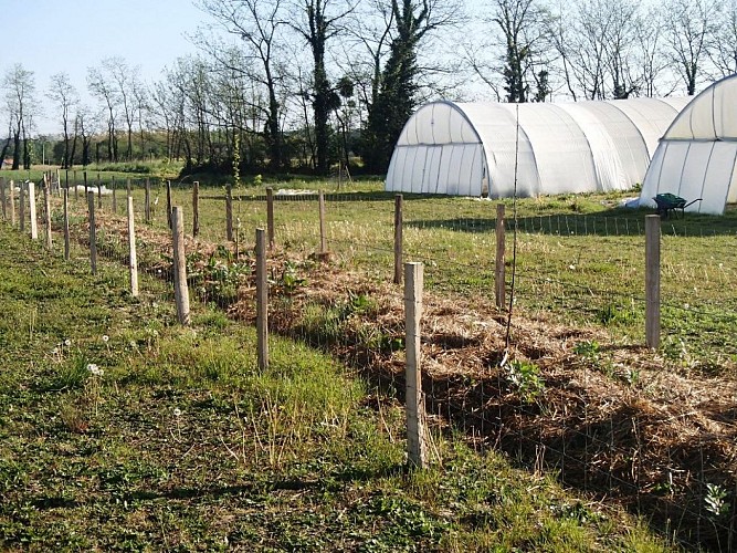 Permaculture - Ferme de Peyrard