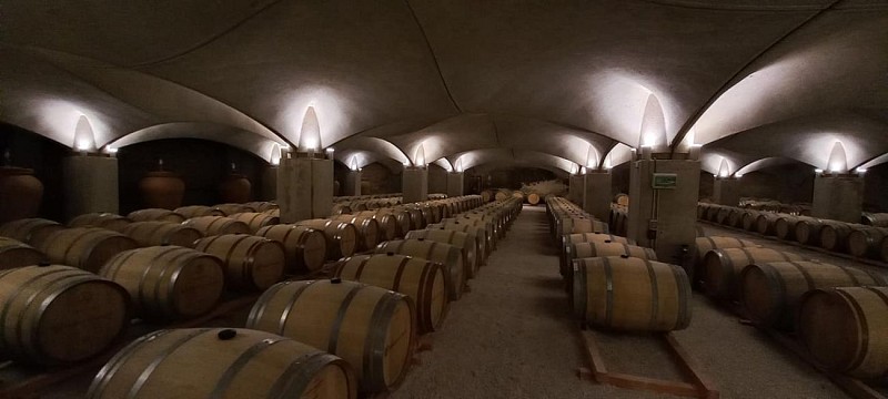 245682415_130537265994568_5792347342867109938_n