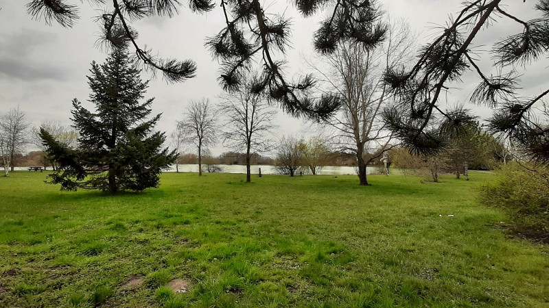 Etang de Bellevue - Tourisme Loiret MPaleau 17.03.2022