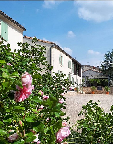 Domaine de Flore - L'extérieur