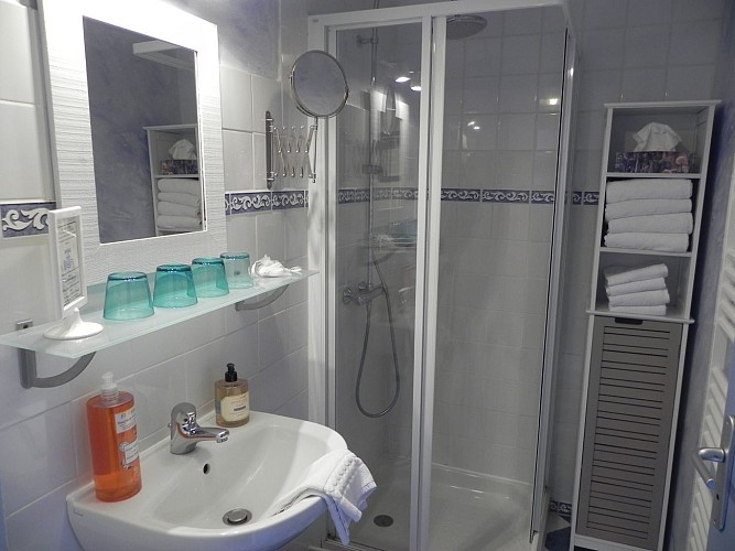 Une salle d'eau - Gîte Chez Dames Grenouilles