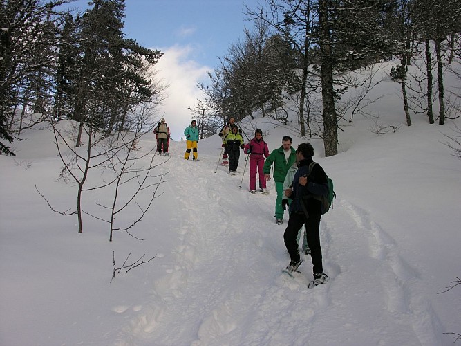 Stéphane Hourticq - Sortie raquettes