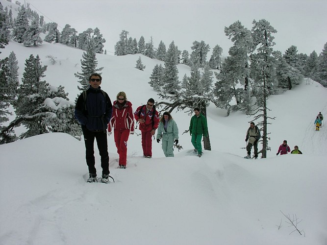 Sortie raquettes à neige à La Pierre Saint-Martin