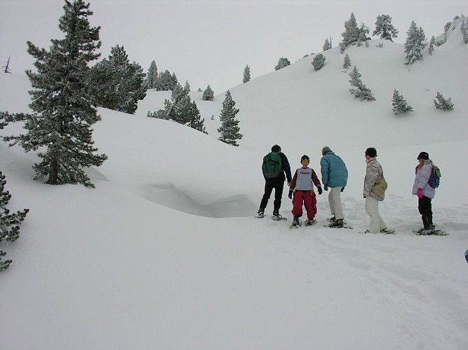 Balade en raquettes à neige à La Pierre Saint-Martin