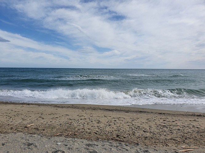 Réserve naturelle nationale du Mas Larrieu