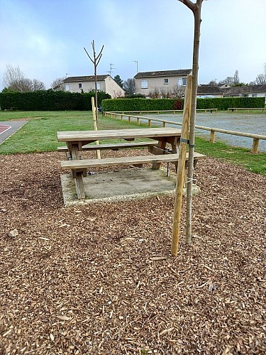 table city stade ter