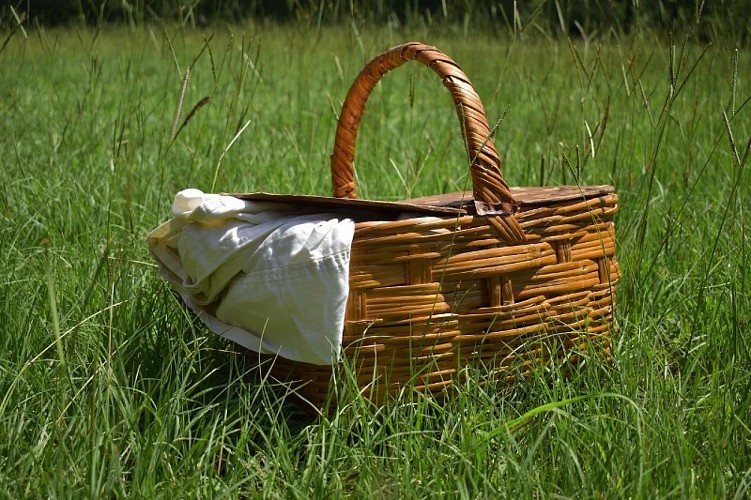 picnic-panier