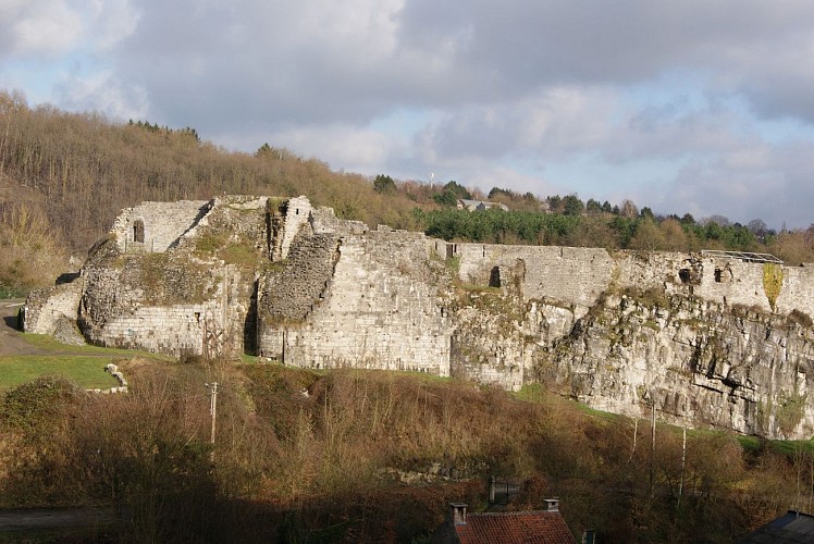 Château féodal de Moha - Moha - ruines