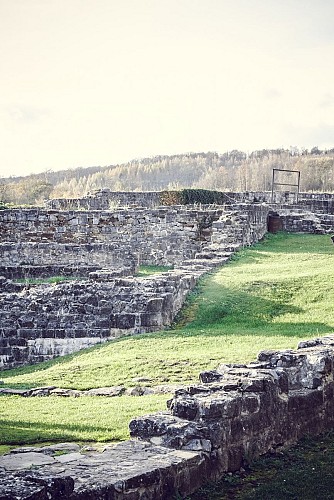 Château féodal de Moha - Moha - ruines