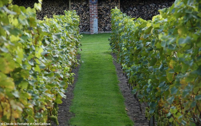 Clos de la Fontaine et Clos Cailloux