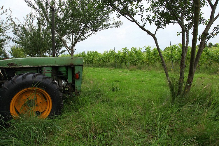 Domaine Celiandre - Flémalle - Tracteur vignes