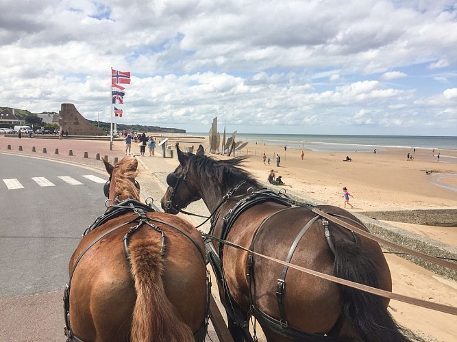 attelage-Omaha-Beach-IsignyOmahaTourisme