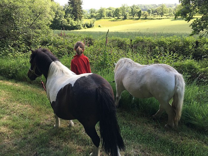 La Roue d'Escampette_7