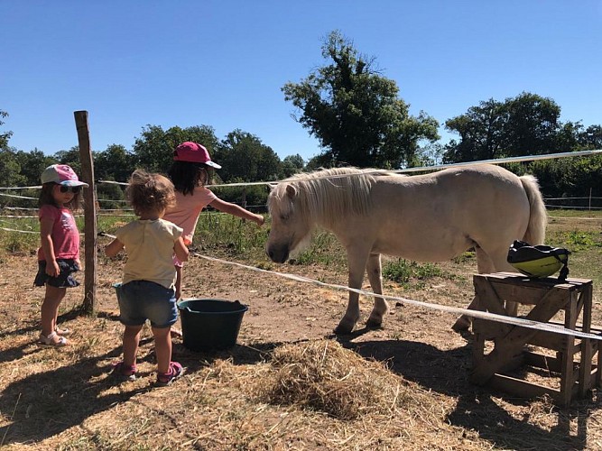La Roue d'Escampette_9