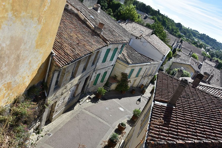 Bourg_Terra_Aventura_©Bourg_Cubzaguais_Tourisme_(73)